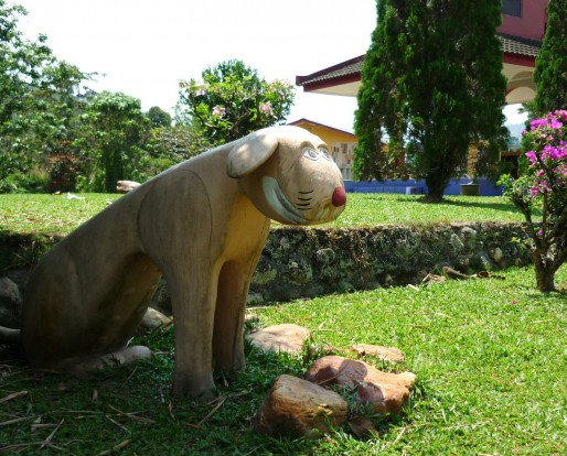 Happy dog, monastery